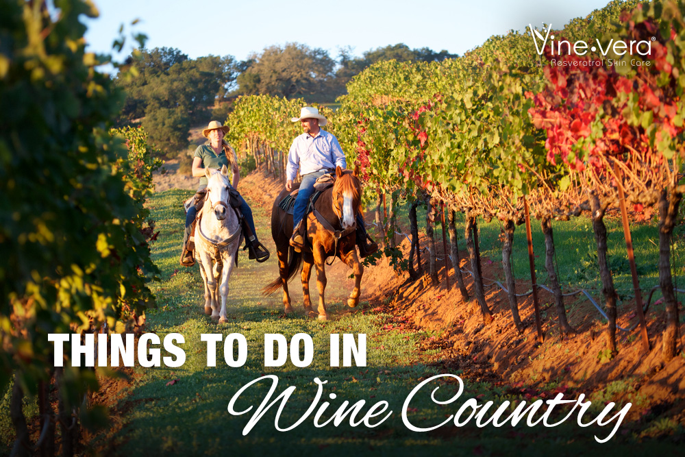 Beautiful image of a couple riding horses in a vineyard. 