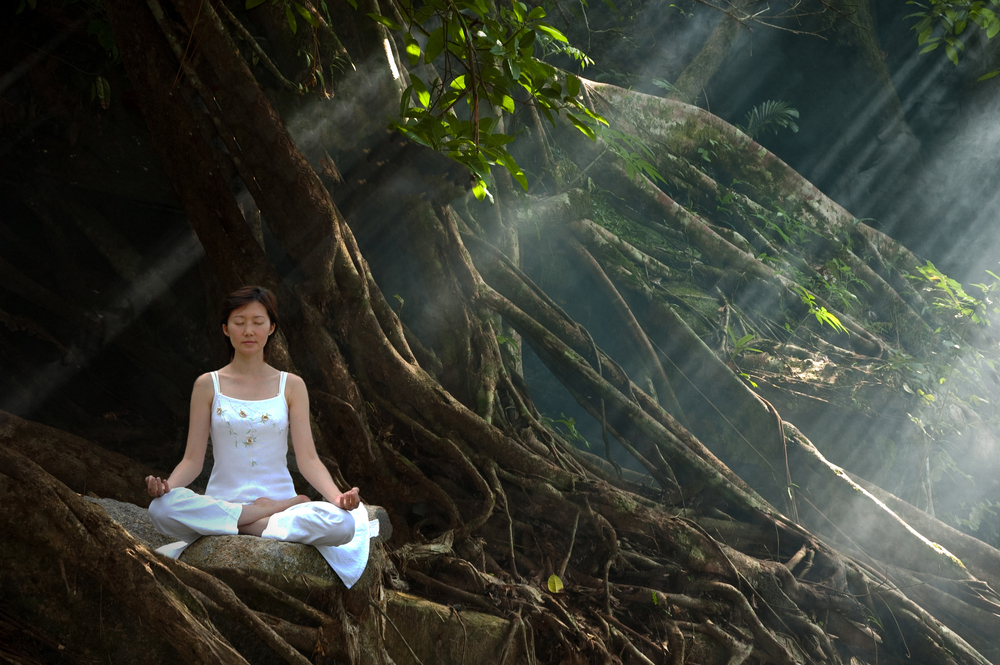 Woman practicing Ananda yoga in a natural setting