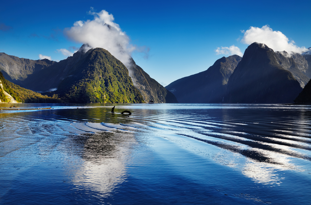 The Milford Sound fjord in South Island, New Zealand