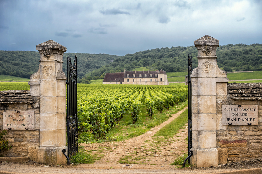 A chateau in Burgundy, famous for its beautiful vineyards. 