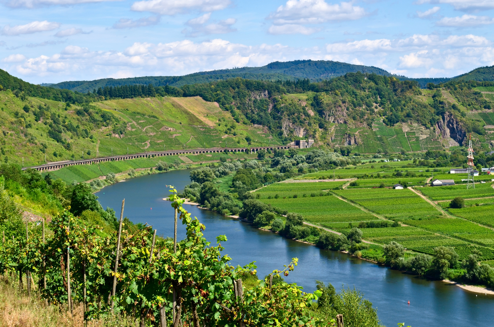 The Mosel Region in Germany. 