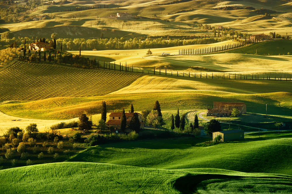Tuscany landscape during fall. 
