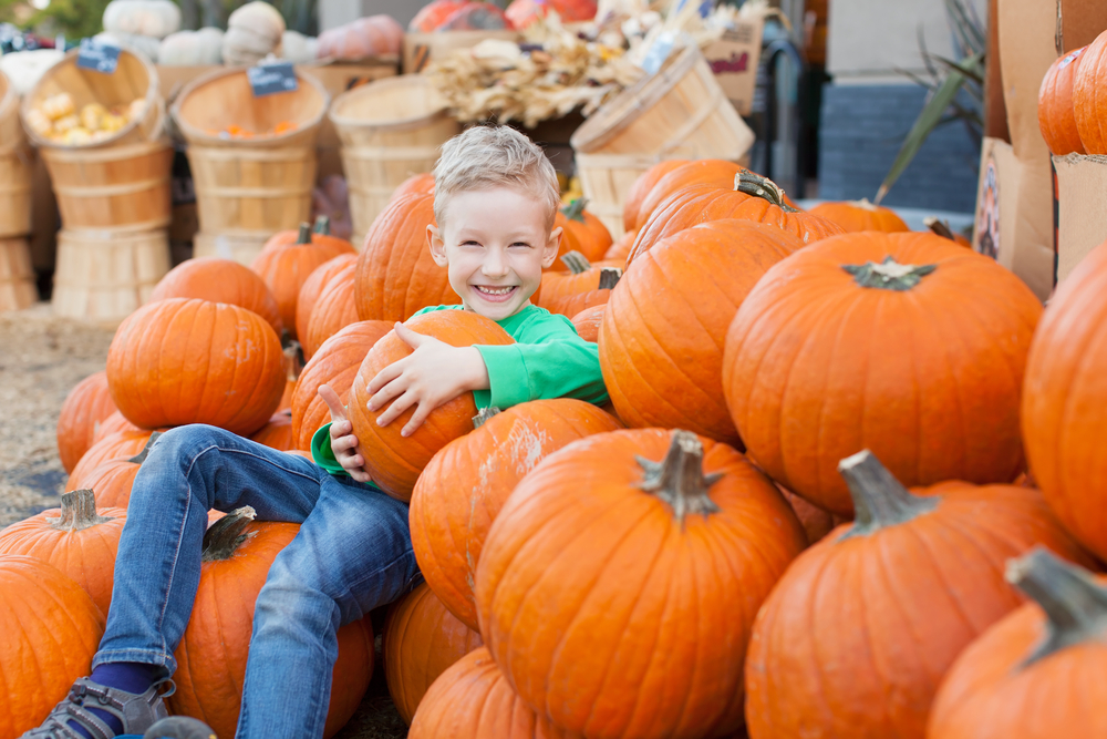 Excited child sitting with pumpkins