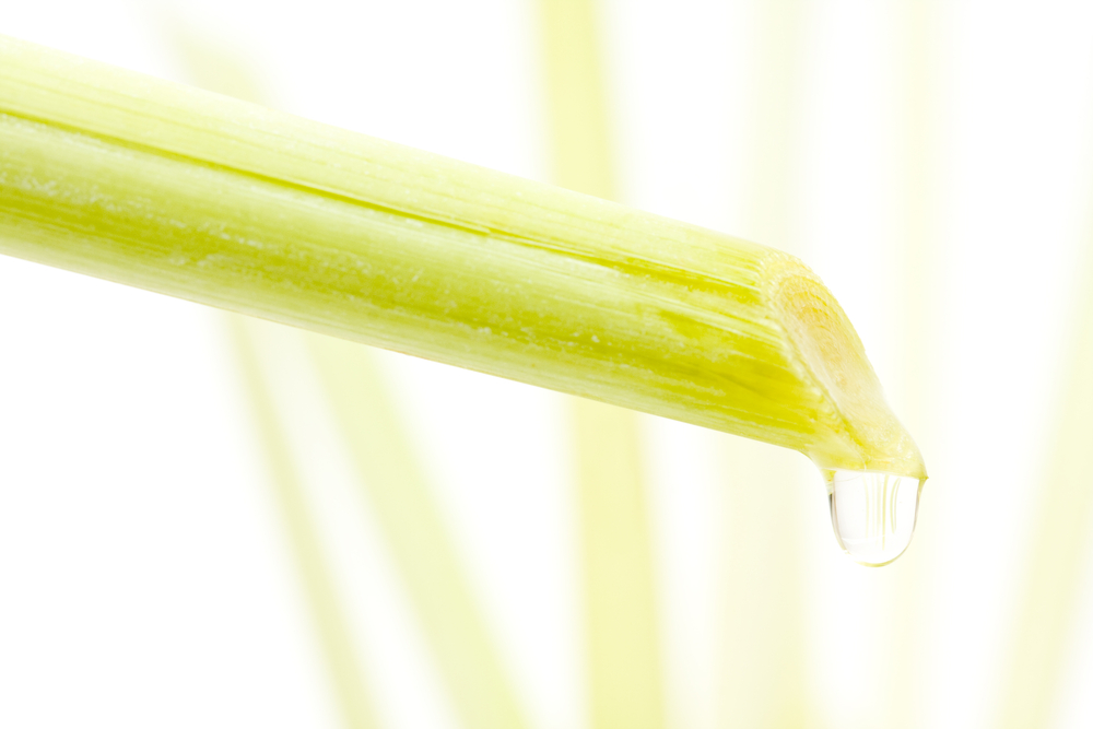 lemongrass oil