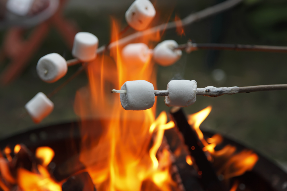 Roasting marshmallows over a bonfire 