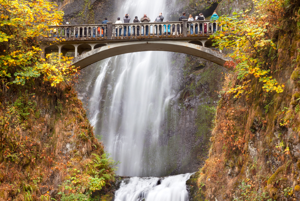 Water fall in the Columbia River Gorge