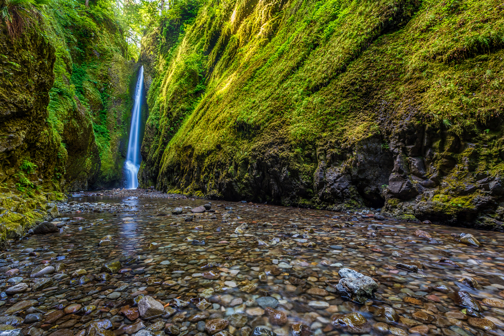 Waterfall in canyon in the Columbia River Gorge