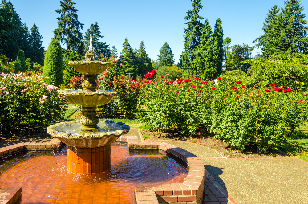 Fountain in the the International Rose Test Garden