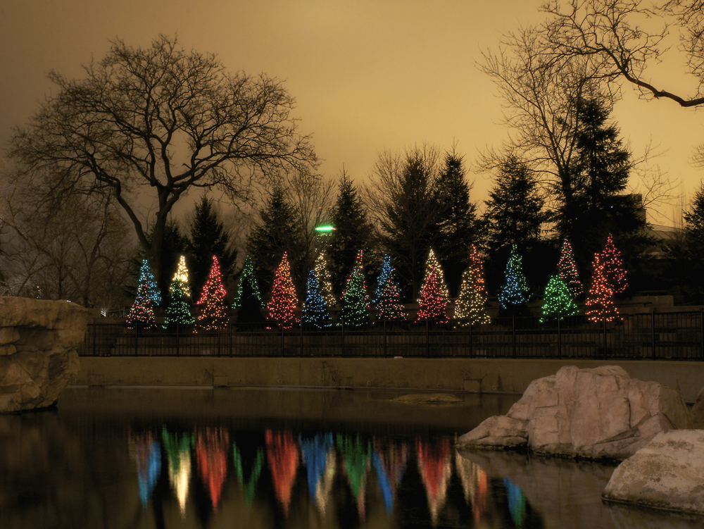 Christmas lights at the Chicago zoo