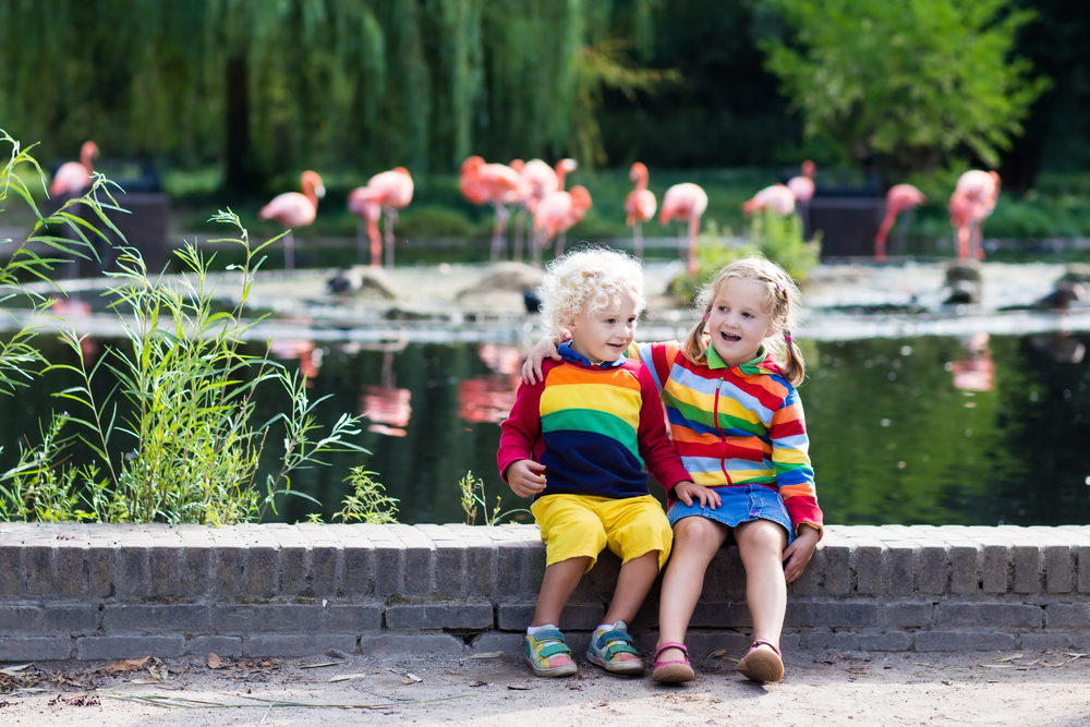 Kids with flamingos in background